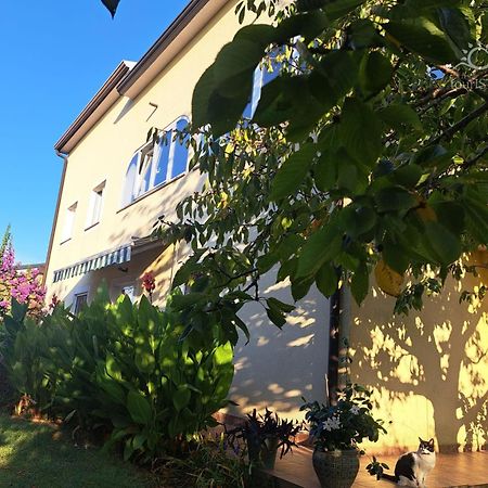 Bozica House With Apartments Murine Exterior foto